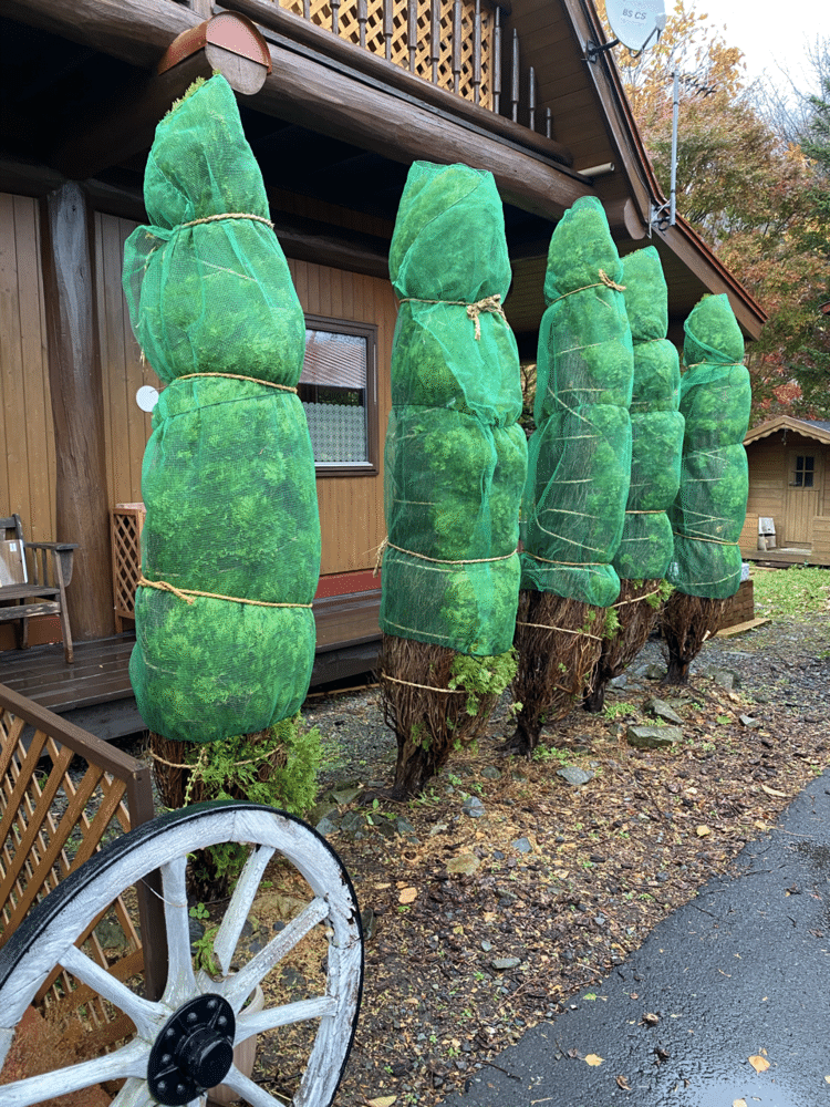 自然と触れ合いなさい