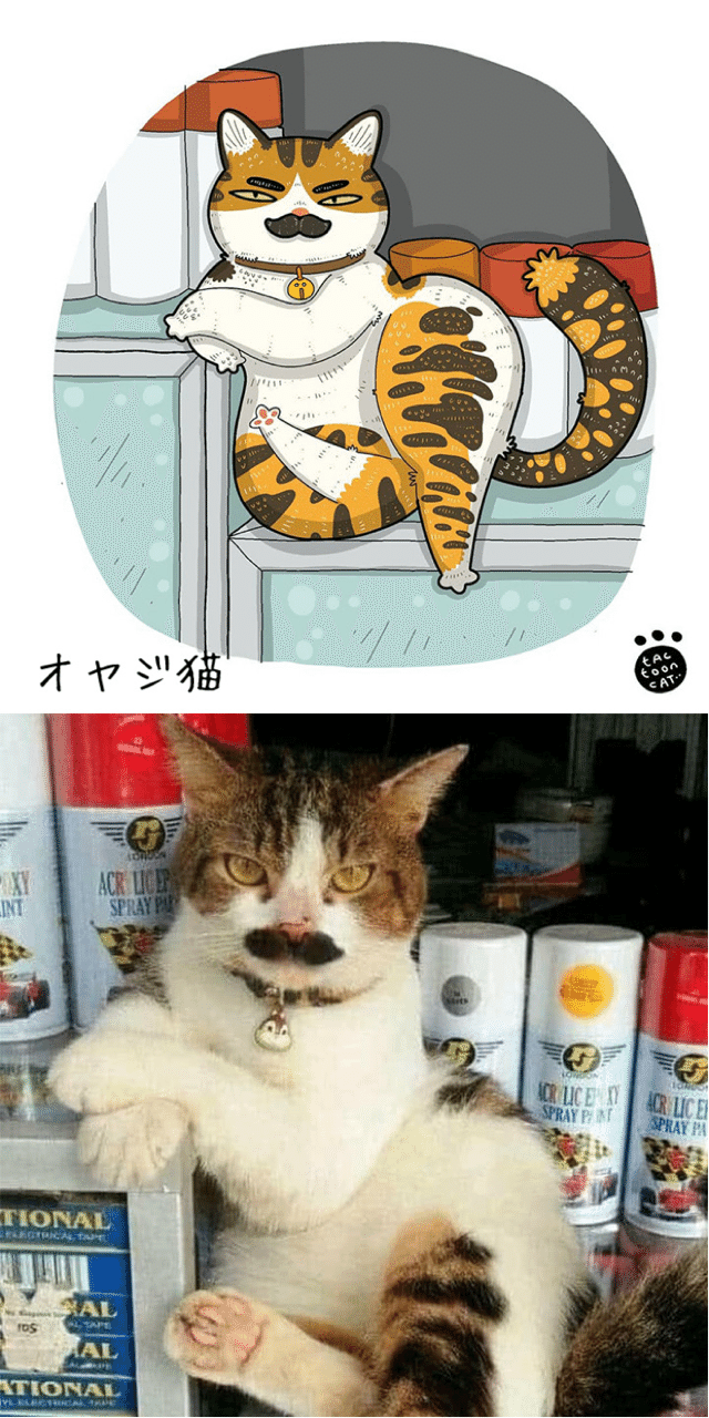 インターネット猫 6 ふてにゃん 擬態猫 ノリノリ Note