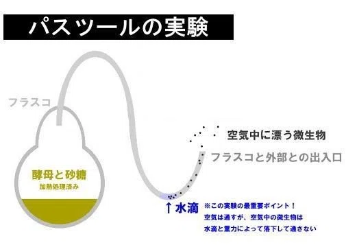 パスツールの実験