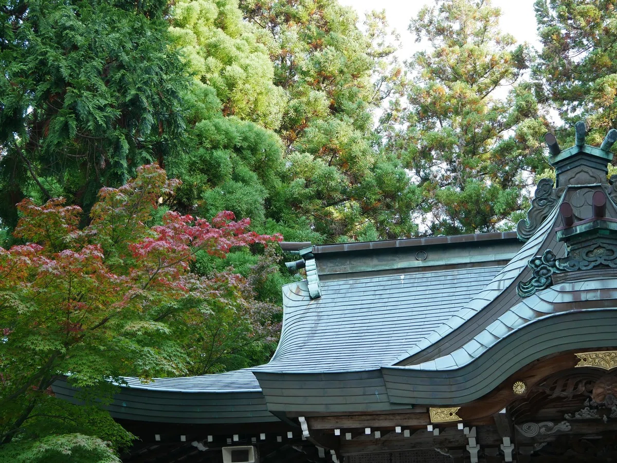 画像5