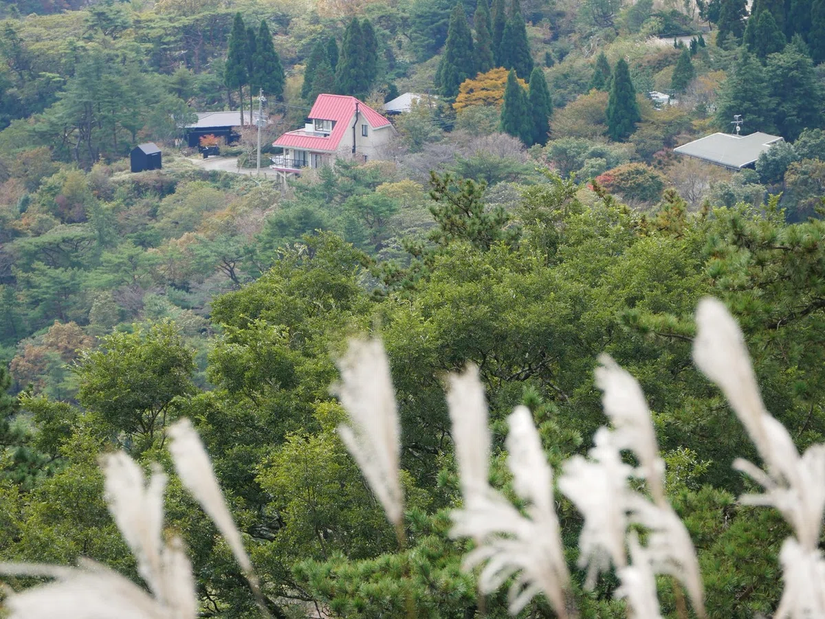 画像26