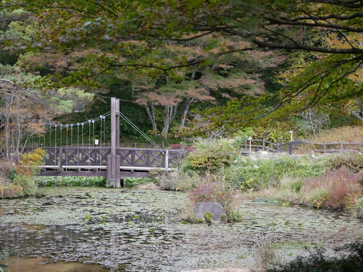 画像30