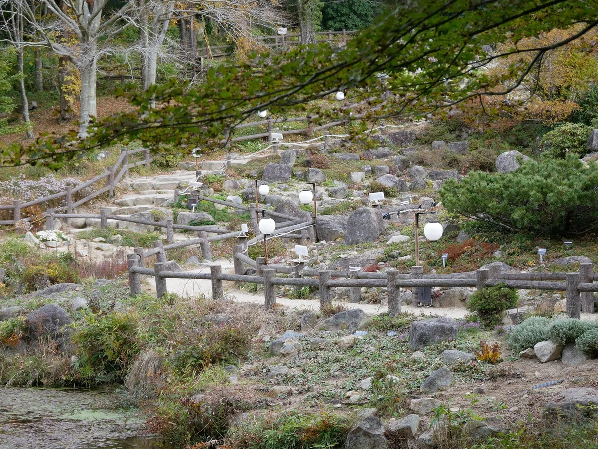 画像32