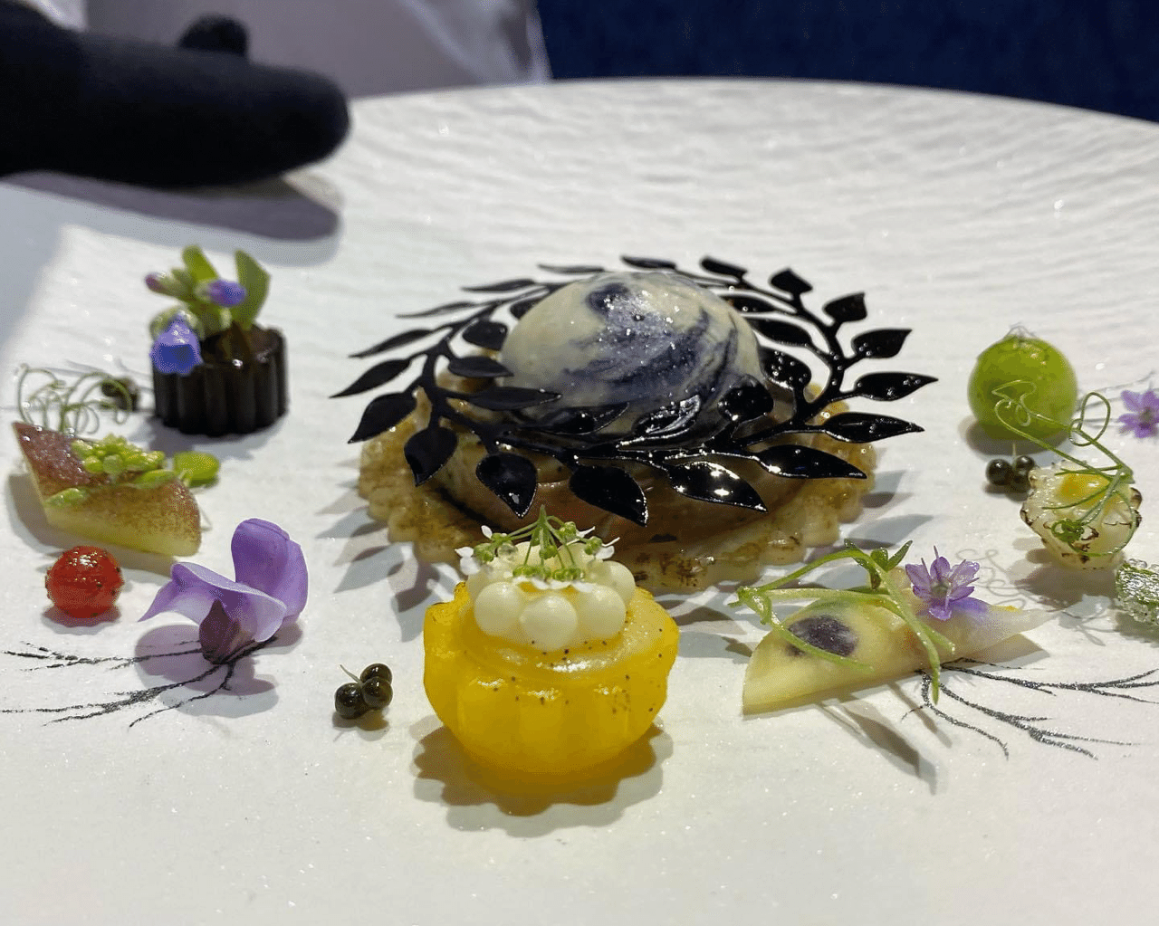 ボキューズドール ヨーロッパ 宮原貴志 食戟請負人 King Of Chef Note ボキューズドール ヨーロッパ 宮原貴志 食戟請負人 King Of Chef Note