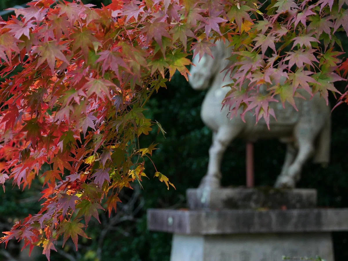 画像39
