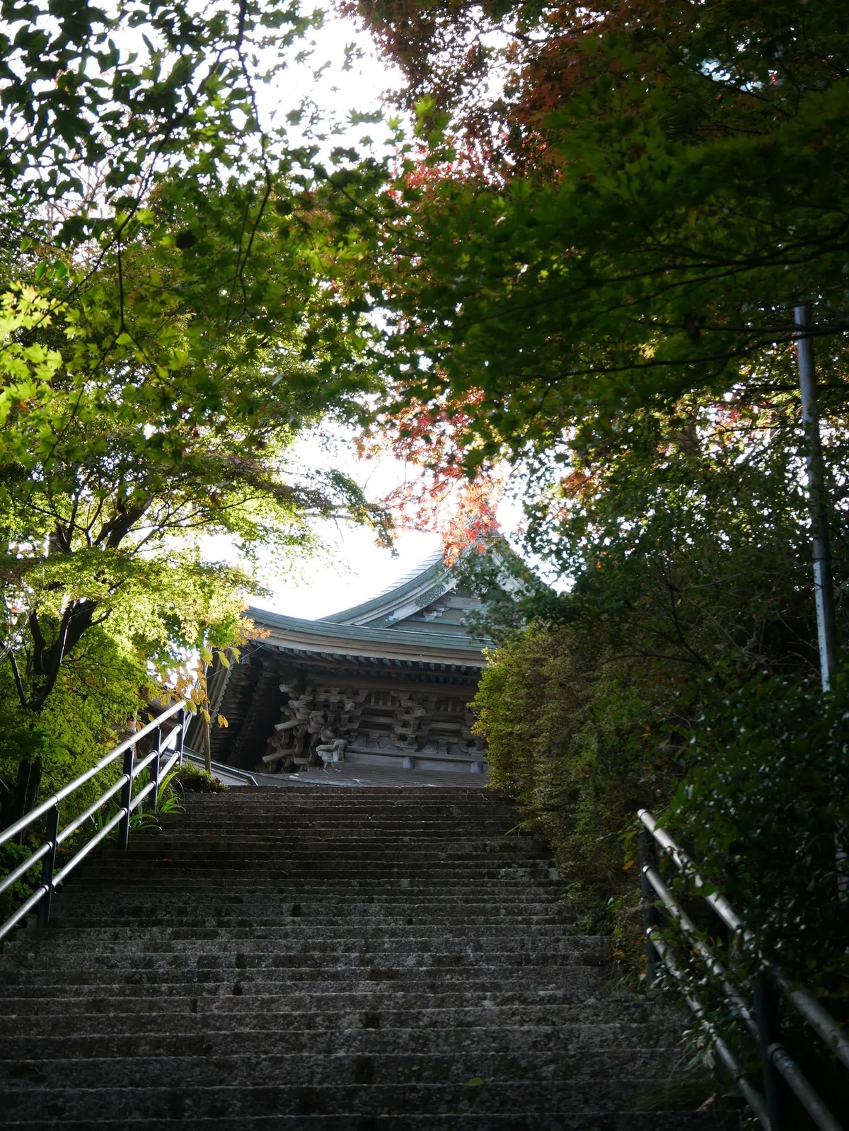 画像41