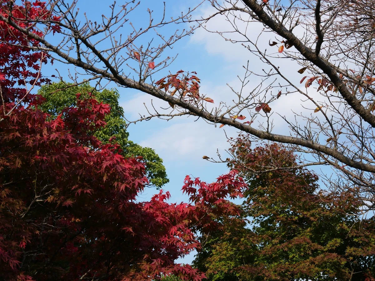 画像42