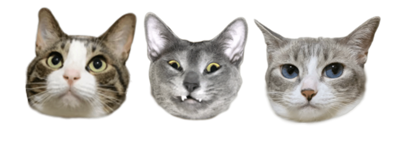 猫3匹の色々 アザラシクッション 吉田輝和 Note 猫3匹の色々 アザラシクッション 吉田輝和 Note
