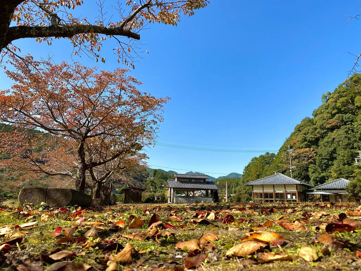 画像3