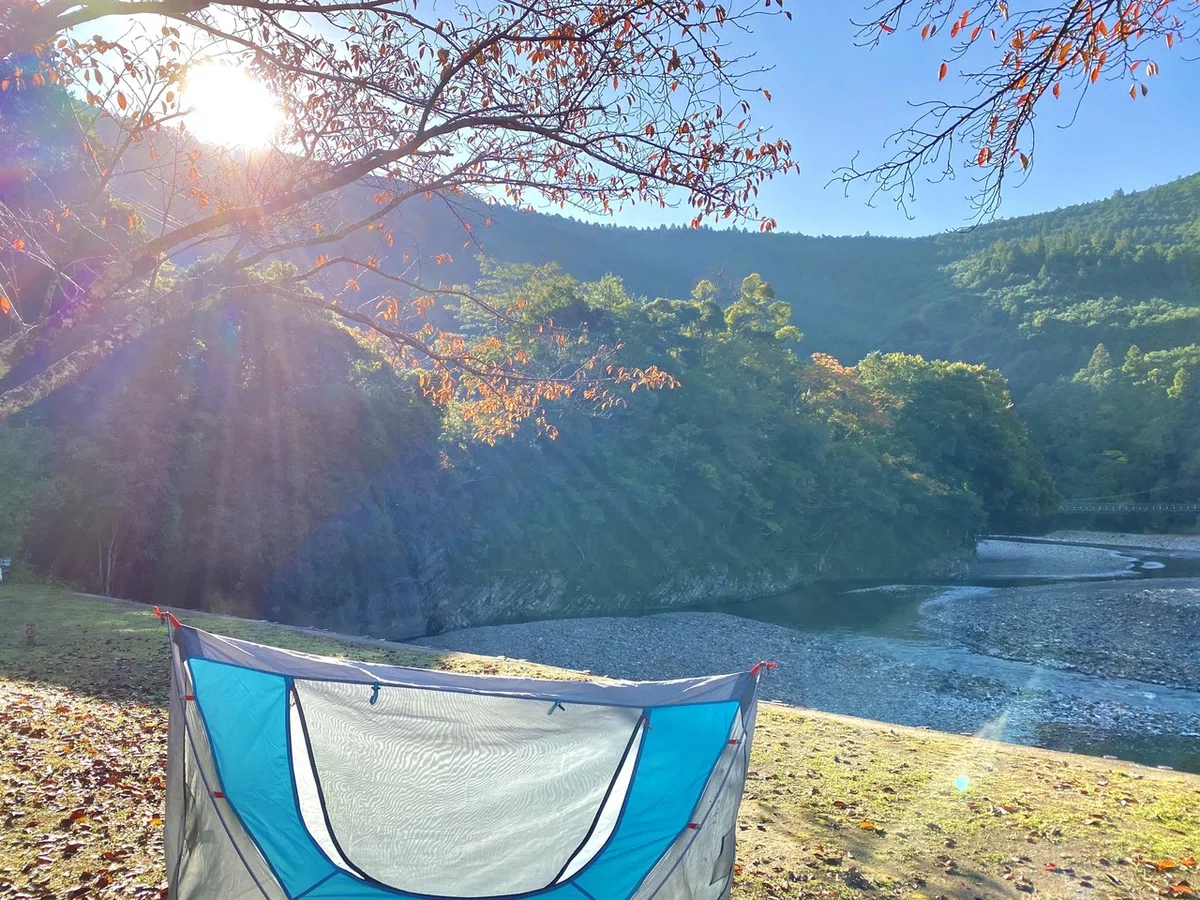 画像5