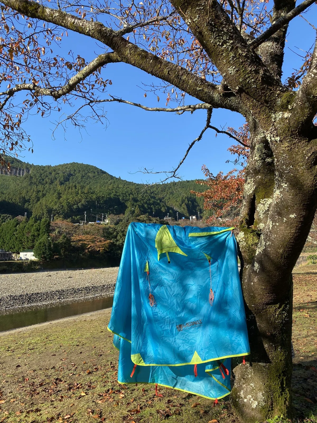 画像6