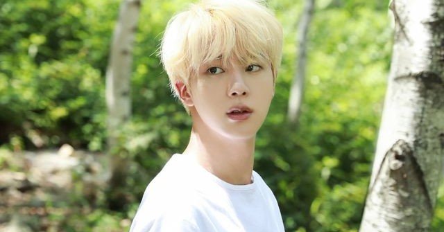 Btsジンくんの何にそんなに感動するのか パクチー Note