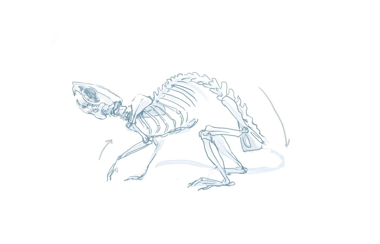 Te Amo ネズミの手のふしぎ Miomori ミオモリ Note Te Amo ネズミの手のふしぎ Miomori ミオモリ Note