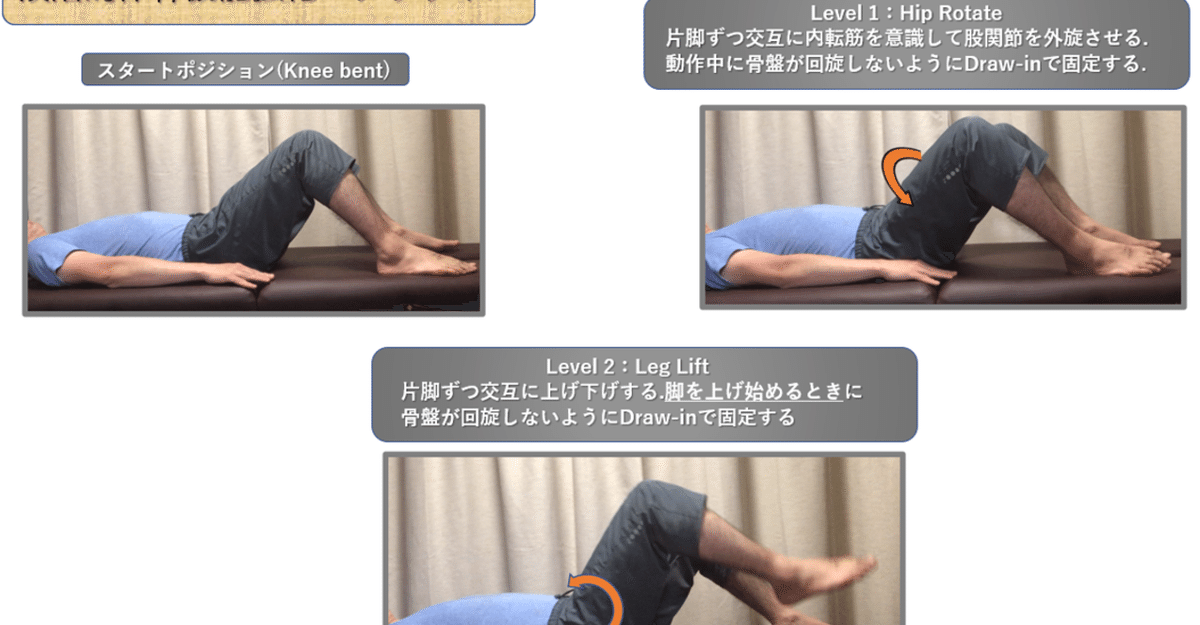 Amazon.co.jp: 深部組織と神経筋に対する徒手テクニック