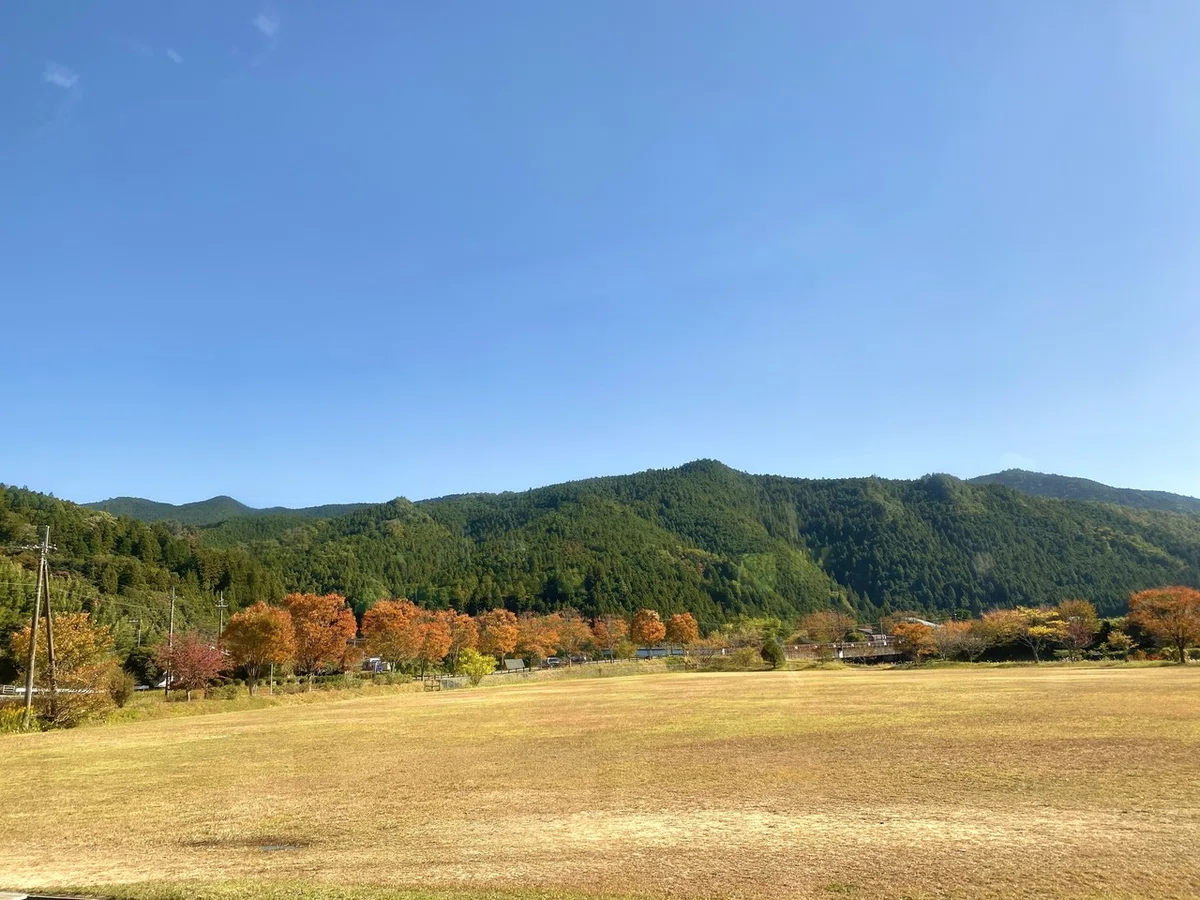 画像7