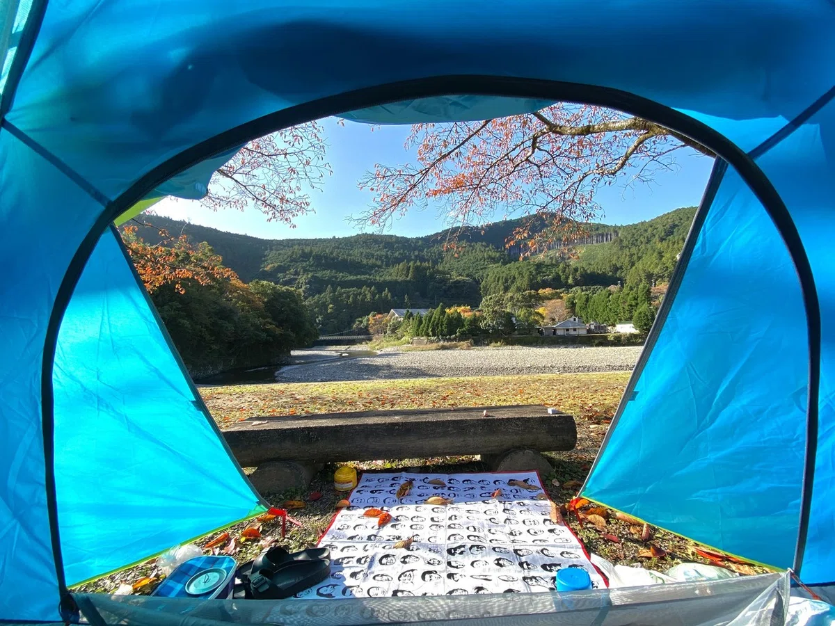 画像12