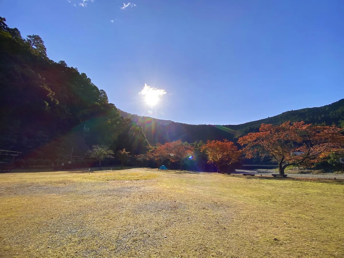 画像12