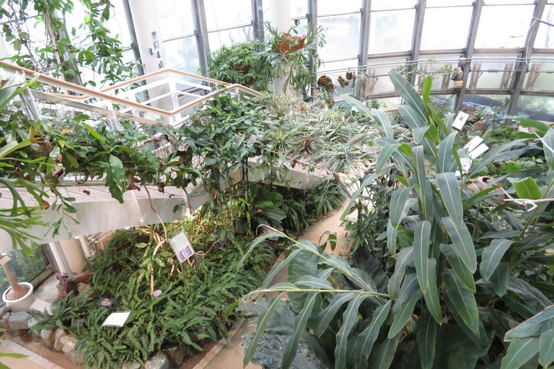 渋谷区ふれあい植物センターですよ 始祖鳥堂まふ M A F Note