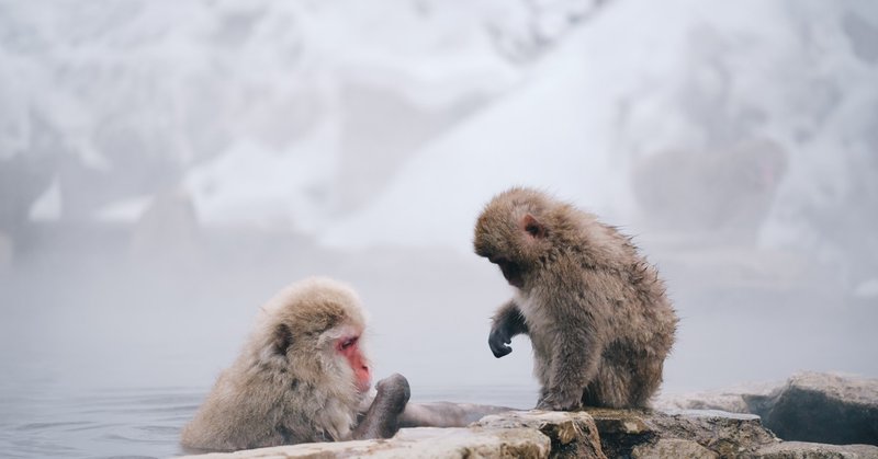 D Dc のゲームの魅力的なキャラクターに関する考察 堅物系編 D Dc Note