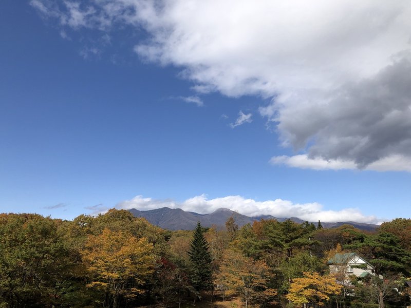 11 1なぜモミジやイチョウは秋になると紅葉するのでしょうか 食とココロの処方箋 Note 11 1なぜモミジやイチョウは秋になると紅葉するのでしょうか 食とココロの処方箋 Note