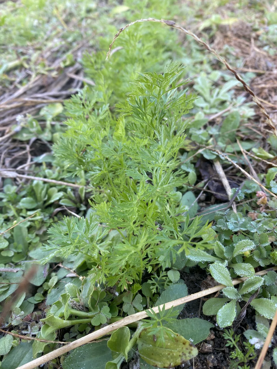 画像11