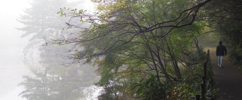 霧がすごかった日の石神井公園