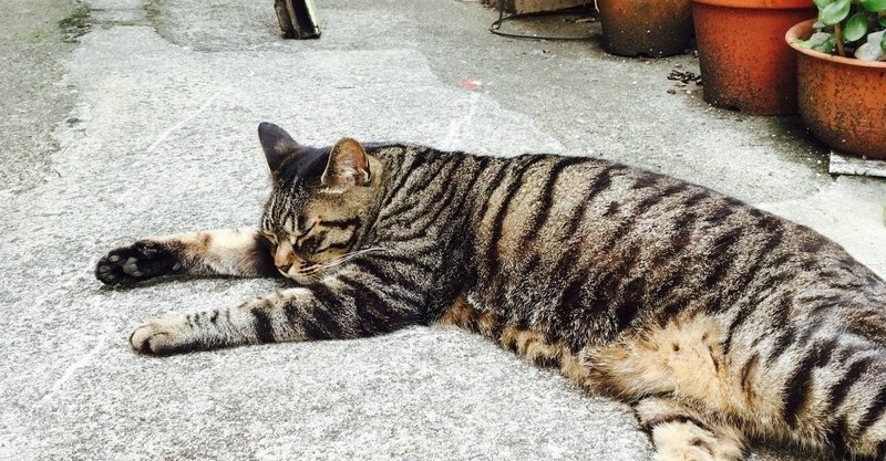 美しい日本の季語より11月11日から11月15日 雨男の俳句よみ吉田どんぐり Note