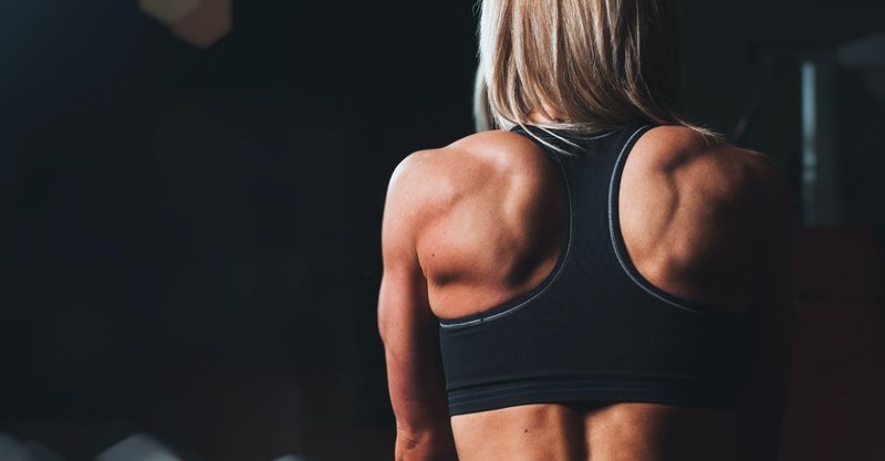 背中痩せで 後姿を美しくするには 解剖学編 Lebo Conditioning Salon Note 背中痩せで 後姿を美しくするには 解剖学編 Lebo Conditioning Salon Note