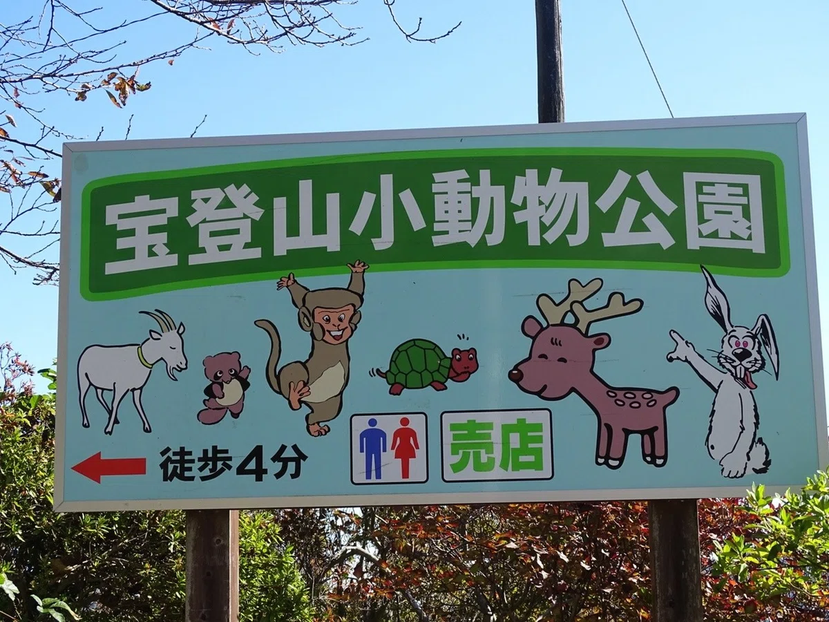 画像7
