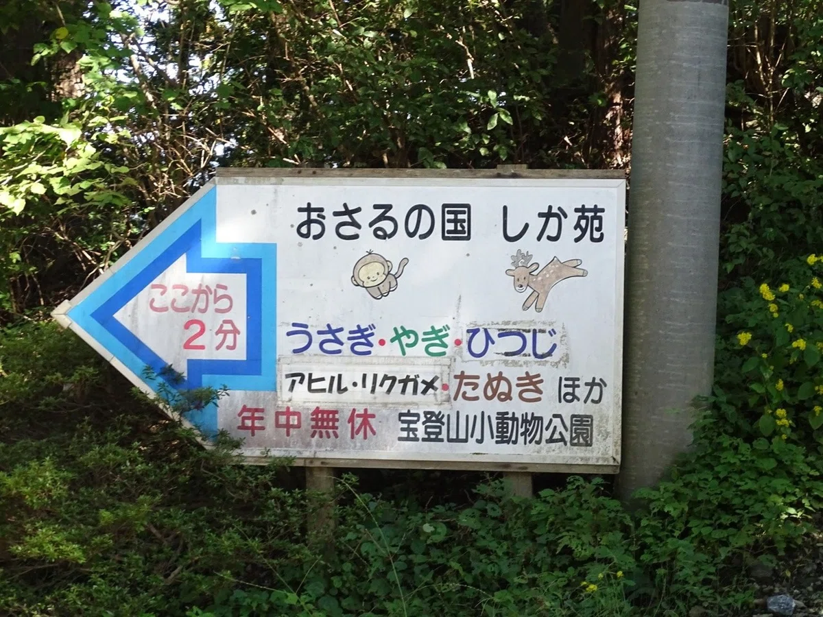画像8