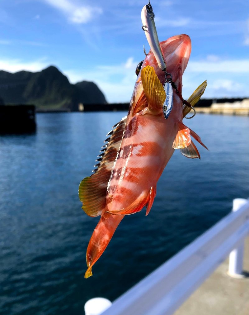 真夏は根魚釣りでボウズ回避 フジケン 八丈島 Note