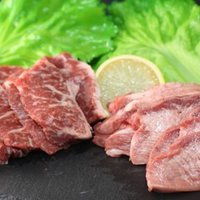 はじめまして Triperieです 自己紹介 Triperie Shiota トリプリしおた Note