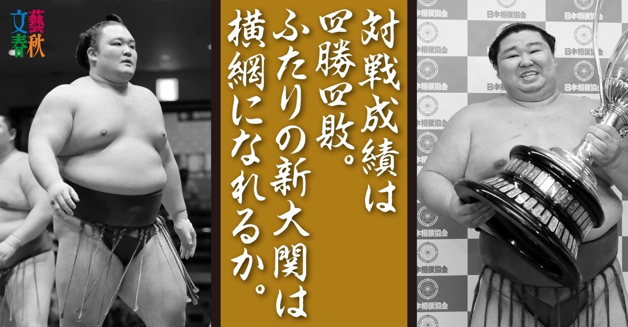大相撲 豪ノ山関 反物 浴衣生地 一反 新品未使用の通販 by