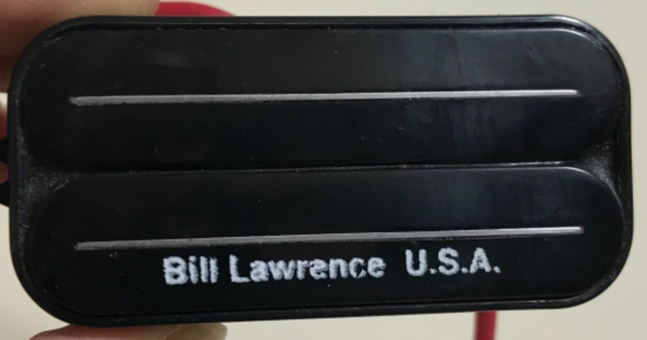 BILL LAWRENCE ( ビルローレンス ) L500XL Black L500 – Bill and Becky Wilde Pickups