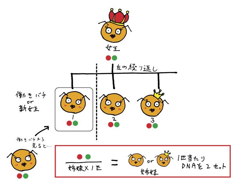 アセット 2xxxhdpi