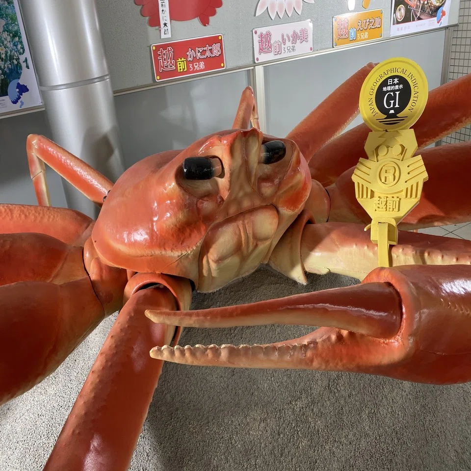 ぶらり福井旅「越前がにミュージアム」で漁港の歴史を探る | Whimsical