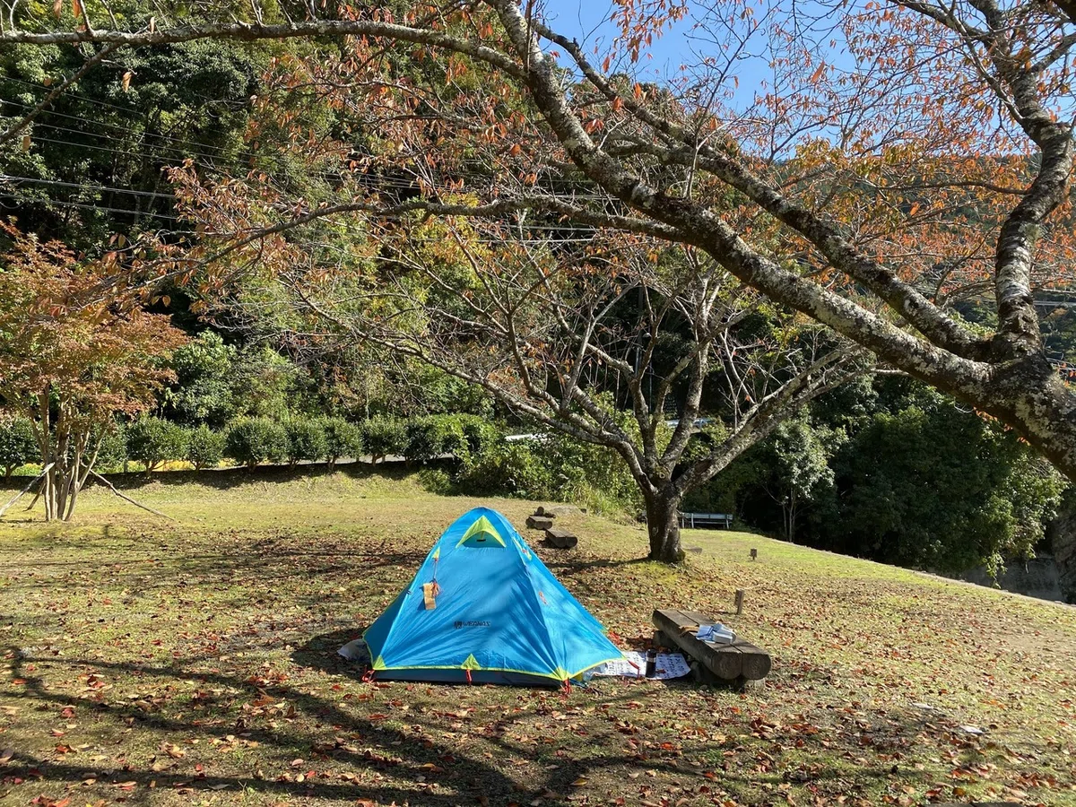 画像4