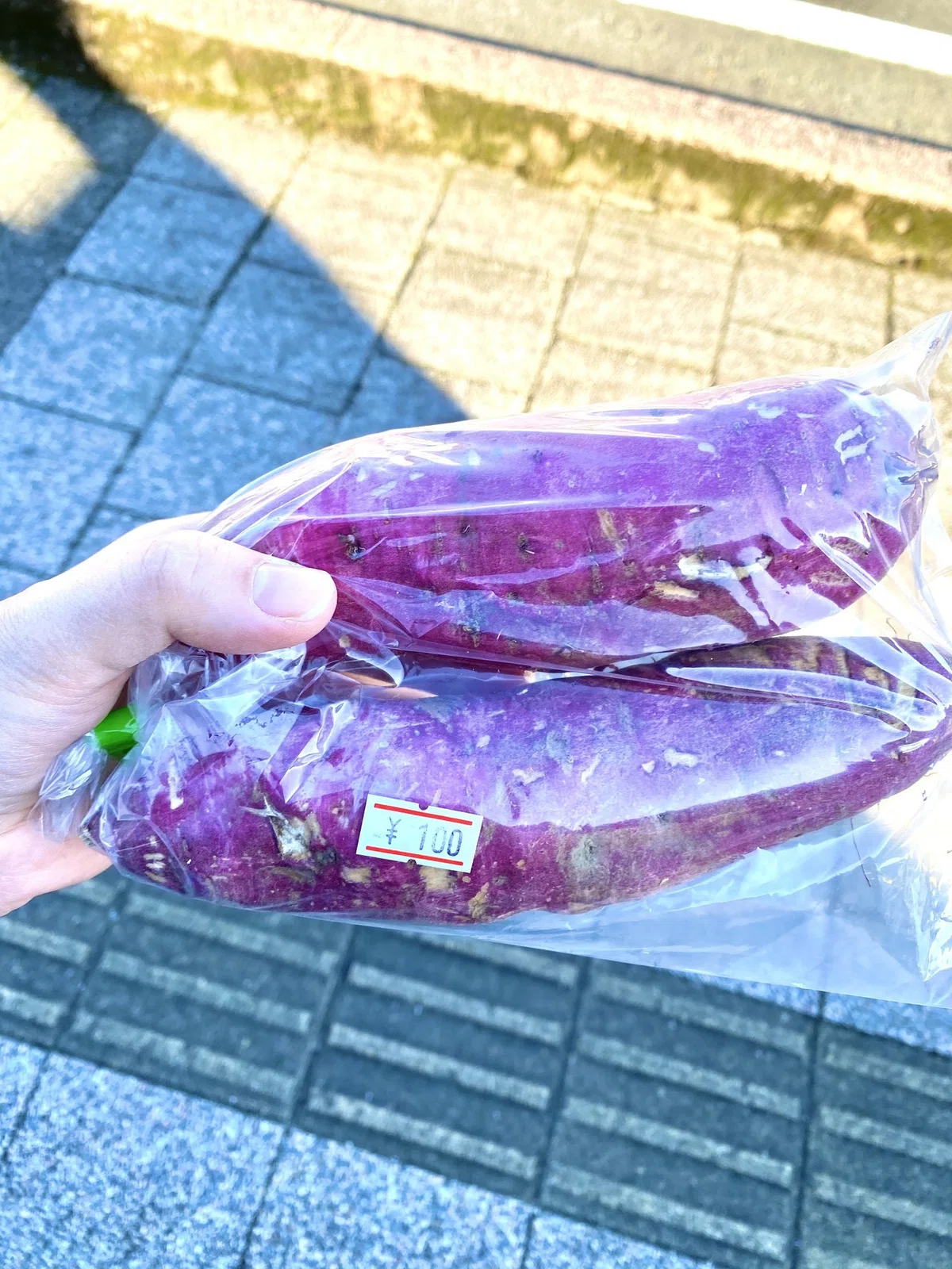 画像6