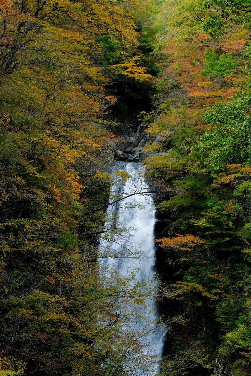 東北の奥座敷 仙台 秋保温泉はパワースポットだらけ 癒しの週末旅にオススメ みやざきなお 宮嵜 菜生 Note 東北の奥座敷 仙台 秋保温泉はパワースポットだらけ 癒しの週末旅にオススメ みやざきなお 宮嵜 菜生 Note