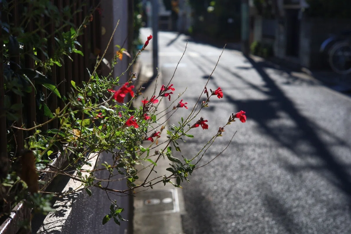 画像24