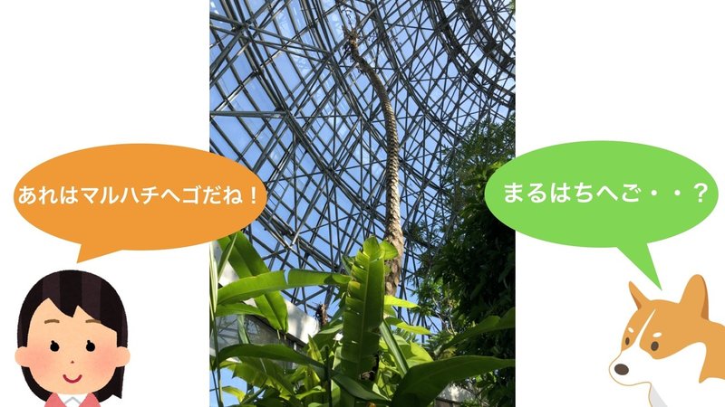 プロと行く植物園.031