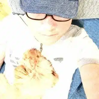 かとしん