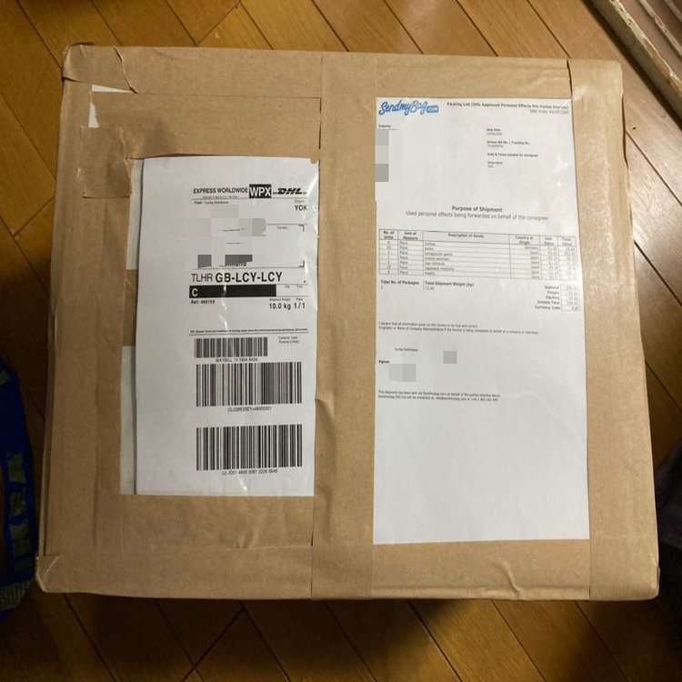 Send my bag dhl hot sale