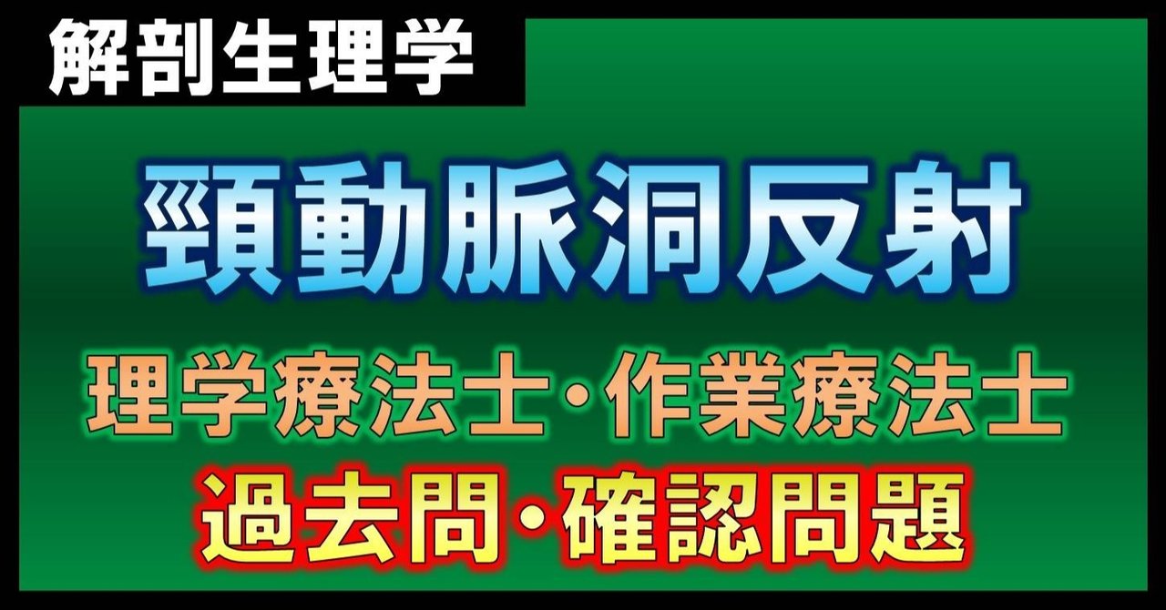 【解剖生理学】頸動脈洞反射・確認問題(理学療法士・作業療法士)