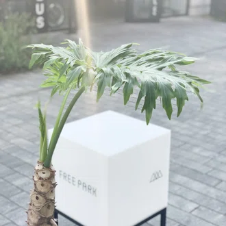 FREEPARK＠自由が丘のセレクトショップ