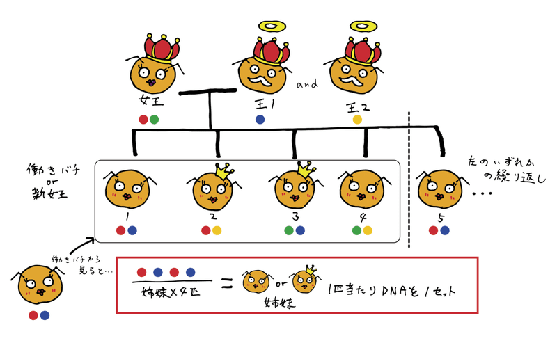 アセット 21xxxhdpi