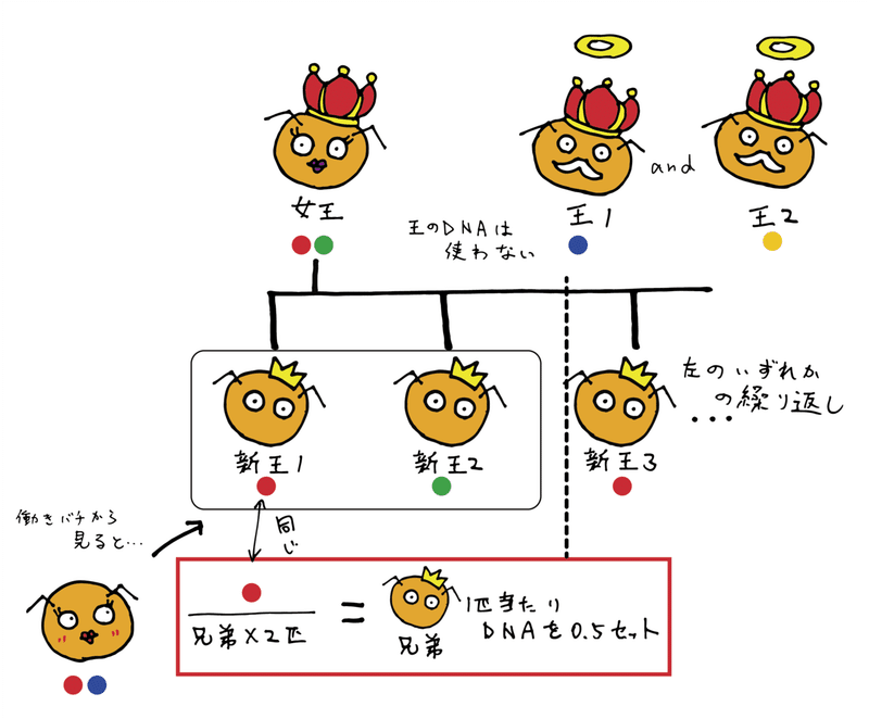 アセット 22xxxhdpi