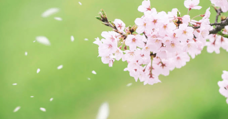 死際は美しく 桜の花びらのように 無名街出身の無名 Note 死際は美しく 桜の花びらのように 無名街出身の無名 Note