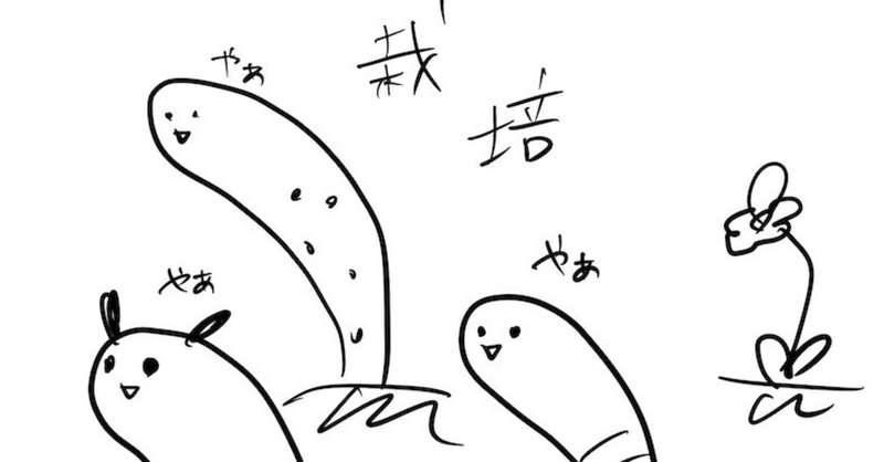 Ss チンアナゴ栽培キット うぬ山 Note