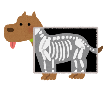 私の犬は いい犬 悪い犬 無駄に傷つかないで あなたの犬はいい犬です ルンカのえげつない話 犬雑貨rumka Note 私の犬は いい犬 悪い犬 無駄に傷つかないで あなたの犬はいい犬です ルンカのえげつない話 犬雑貨rumka Note